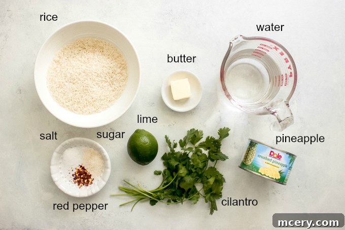 Tropical Pineapple Rice 3 a flat lay of ingredients for Hawaiian rice including rice, crushed pineapple, lime, cilantro, and chili flakes