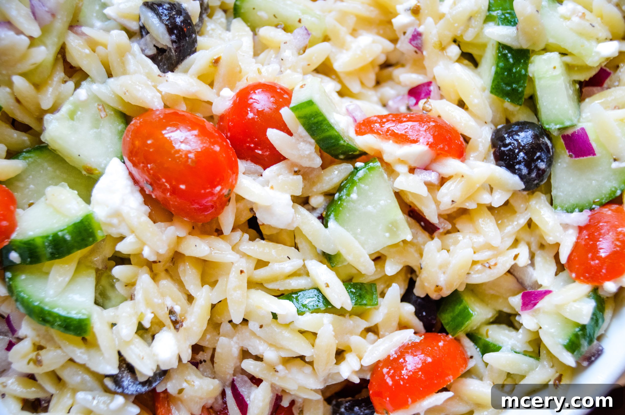 Grecian Orzo Medley 2 Bright and fresh Greek Orzo Pasta Salad with cherry tomatoes, cucumbers, and feta