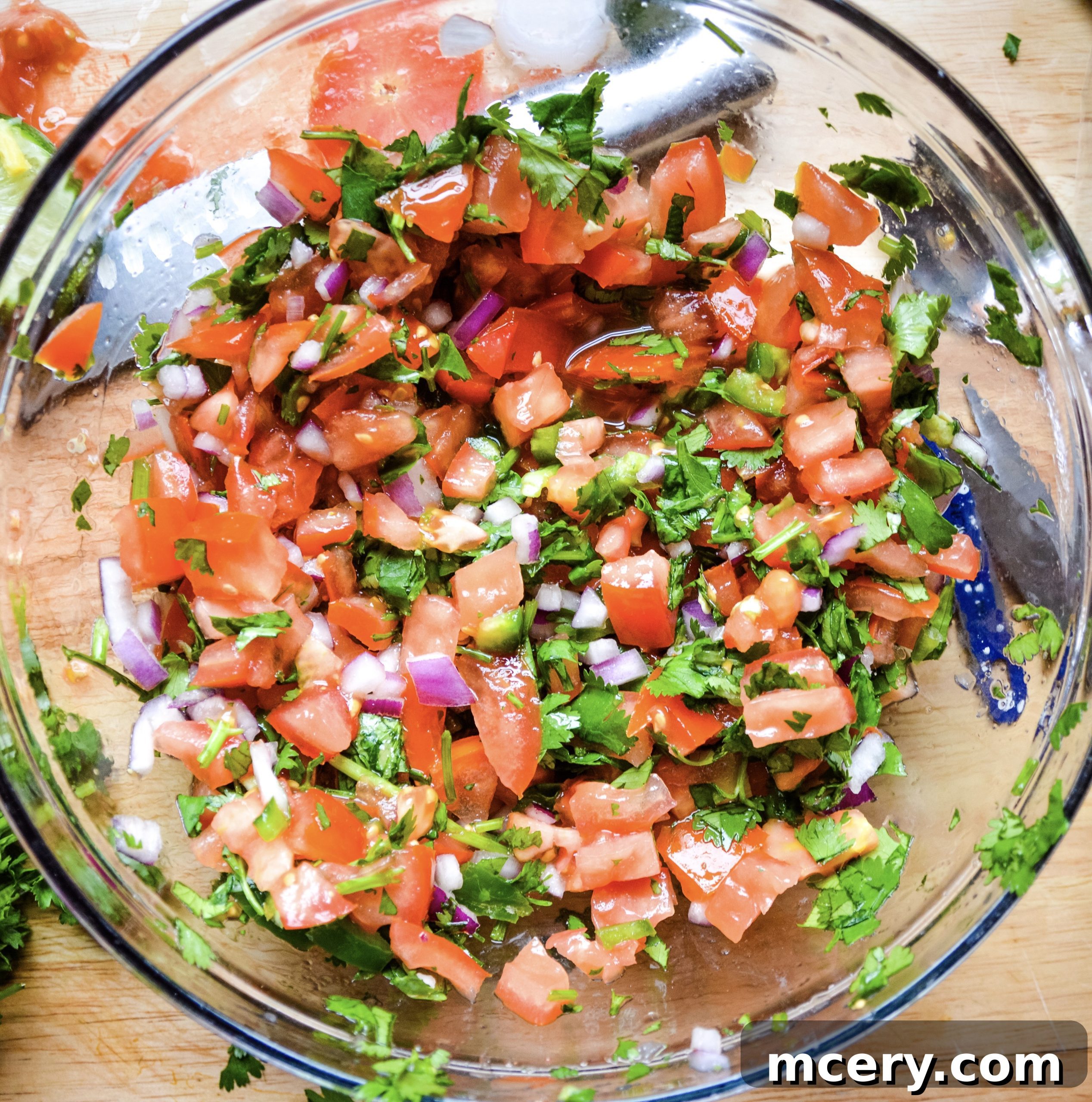 Zesty Garden Fresh Salsa 6 img 4670 5 scaled