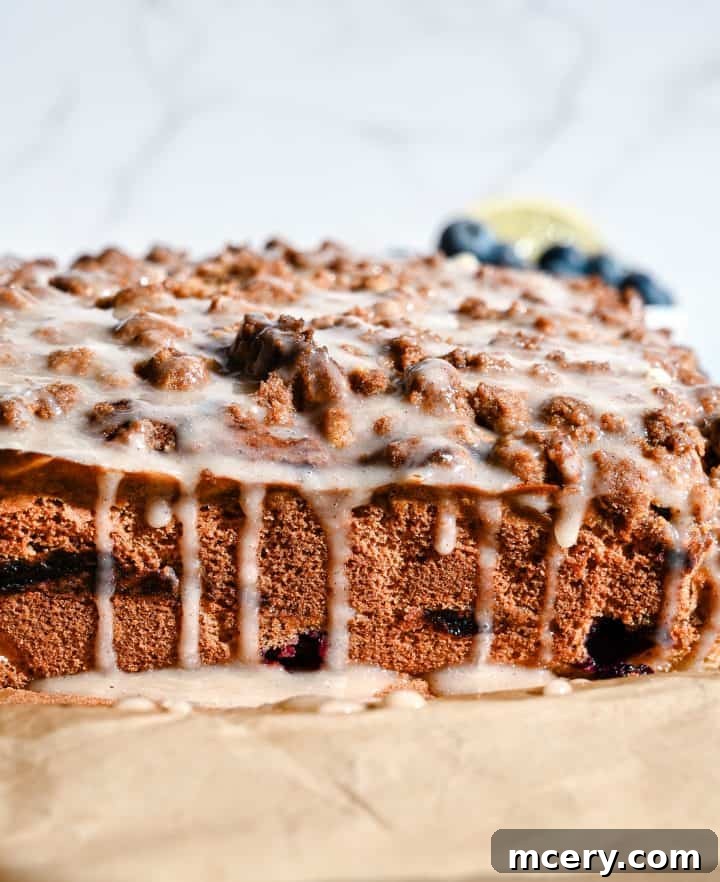 Moist Bakery Style Blueberry Burst Coffee Cake 3 A close-up shot of a slice of blueberry coffee cake, showing the moist crumb, blueberry swirl, and streusel layers.