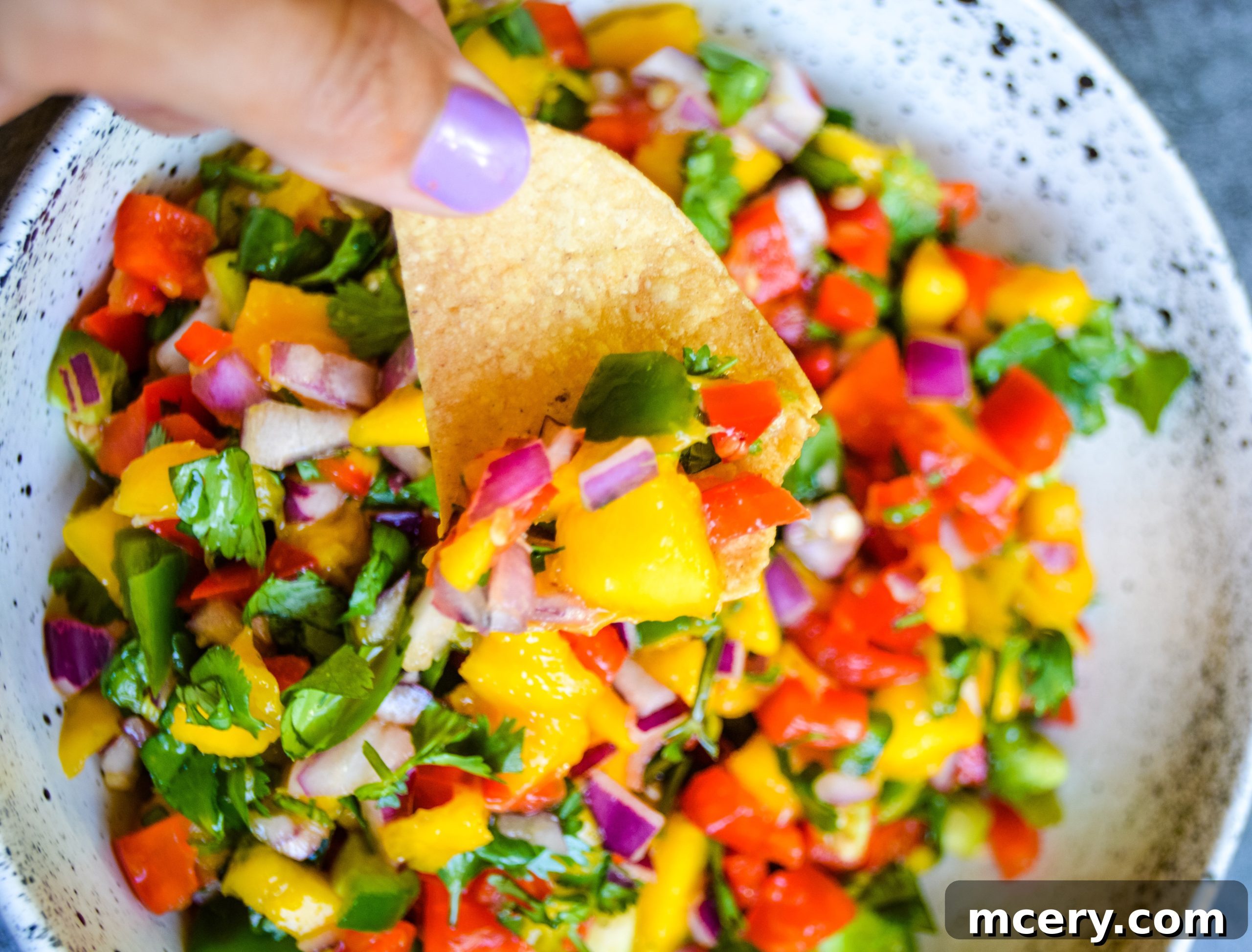 Zesty Mango Salsa 4 img 5088 3 scaled