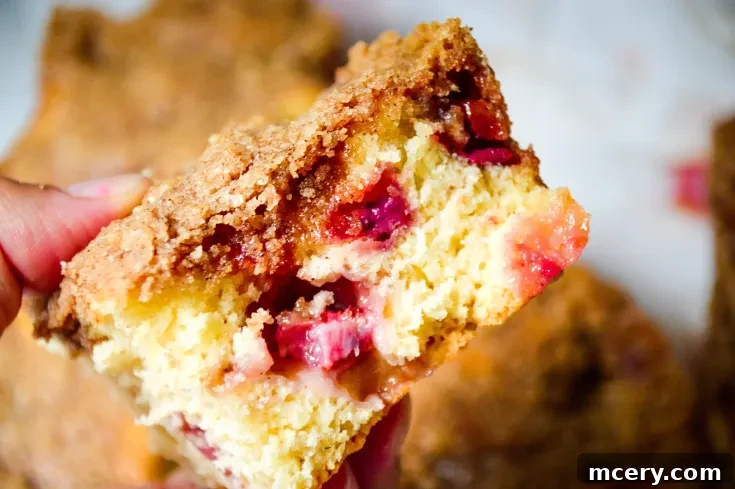 Strawberry Crumb Coffee Cake 11 A close-up of a hand holding a slice of crumbly Strawberry Coffee Cake filled with visible chunks of strawberries. The cake has a golden-brown crust and a moist, soft texture, indicating its freshly baked quality.