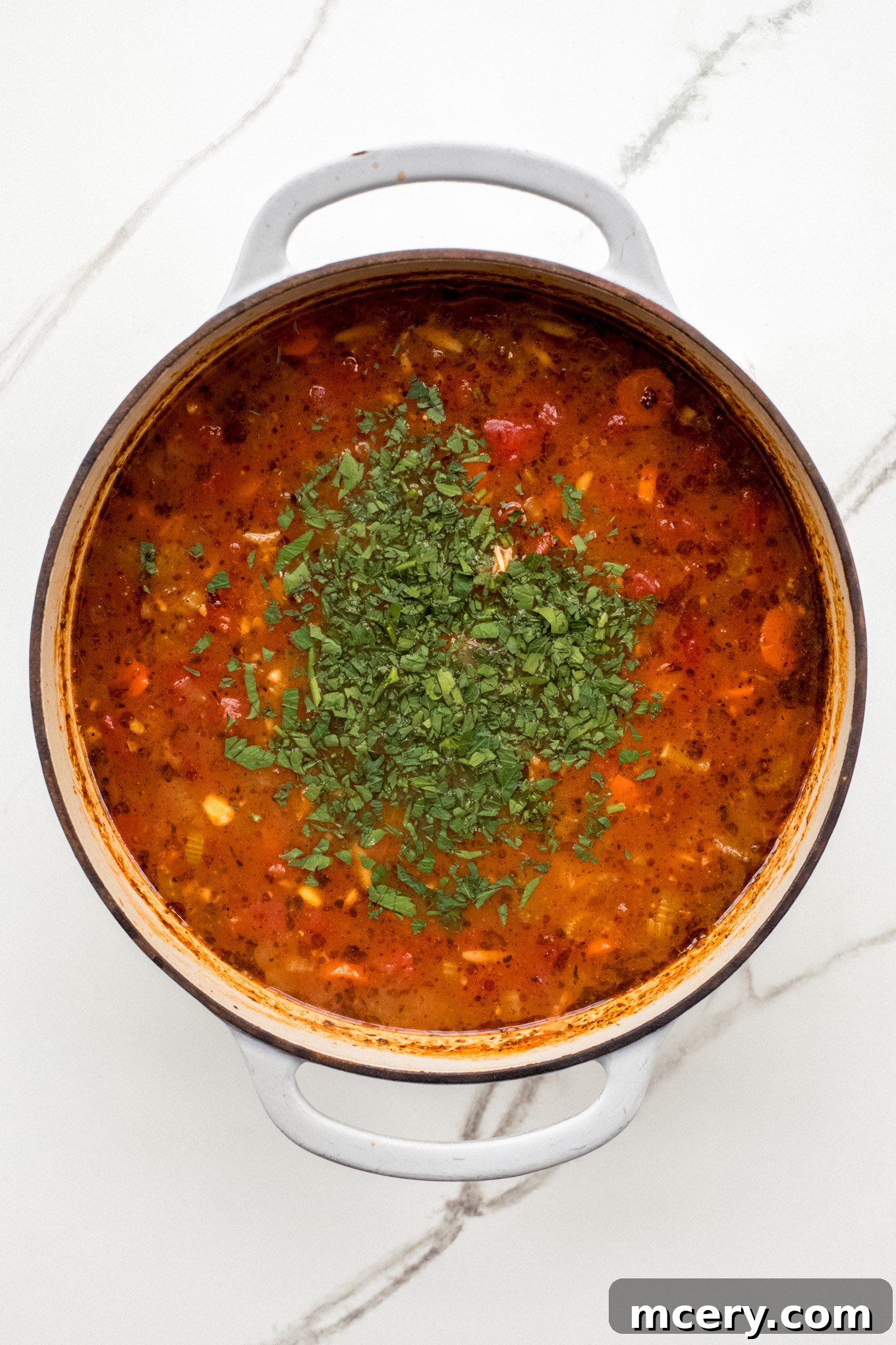 Hearty Garden Orzo Soup 7 chopped fresh parsley over soup.