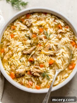 chicken orzo soup in a white bowl garnished with fresh dill.