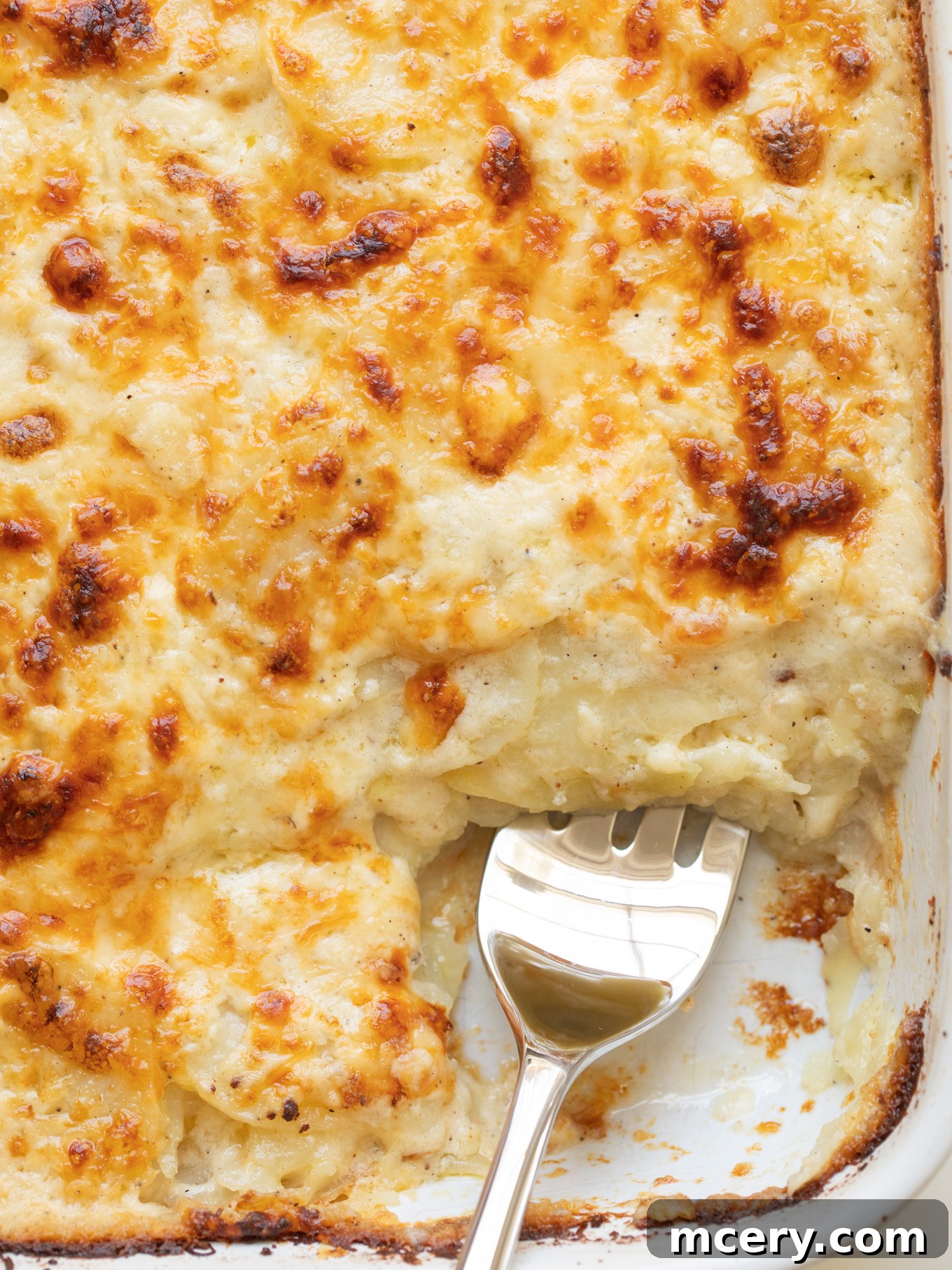 Decadent Cheesy Potato Gratin 2 Close-up of golden-brown cheesy scalloped potatoes in a white casserole dish, showing tender layers and melted cheese.