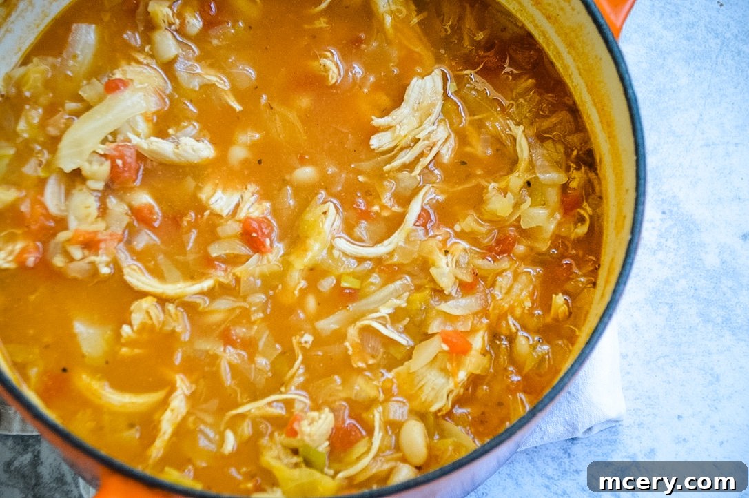 Rustic Chicken, Cabbage, and White Bean Soup 3 A close-up shot of the Cabbage Soup, showcasing the tender shredded chicken, white beans, and vibrant green cabbage simmered in a rich, savory broth.