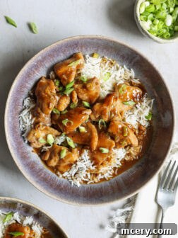 teriyaki chicken in a skillet over rice.