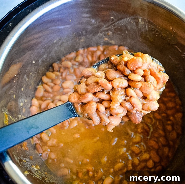 Speedy & Savory Instant Pot Pinto Beans 5 A close-up shot of a pot of Instant Pot Pinto Beans, highlighting their hearty and appealing texture, with subtle steam rising.