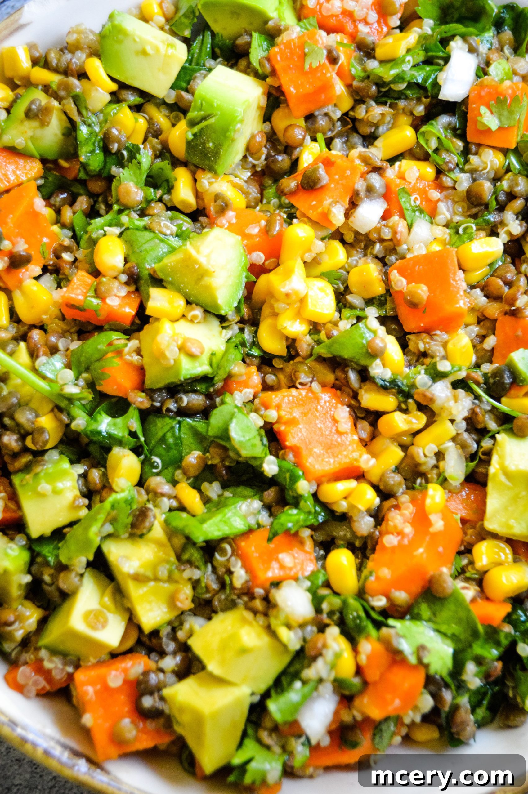 Sweet Potato & Lentil Salad Delicious Sweet Potato & Lentil Salad in a bowl, perfect for a healthy and satisfying meal.