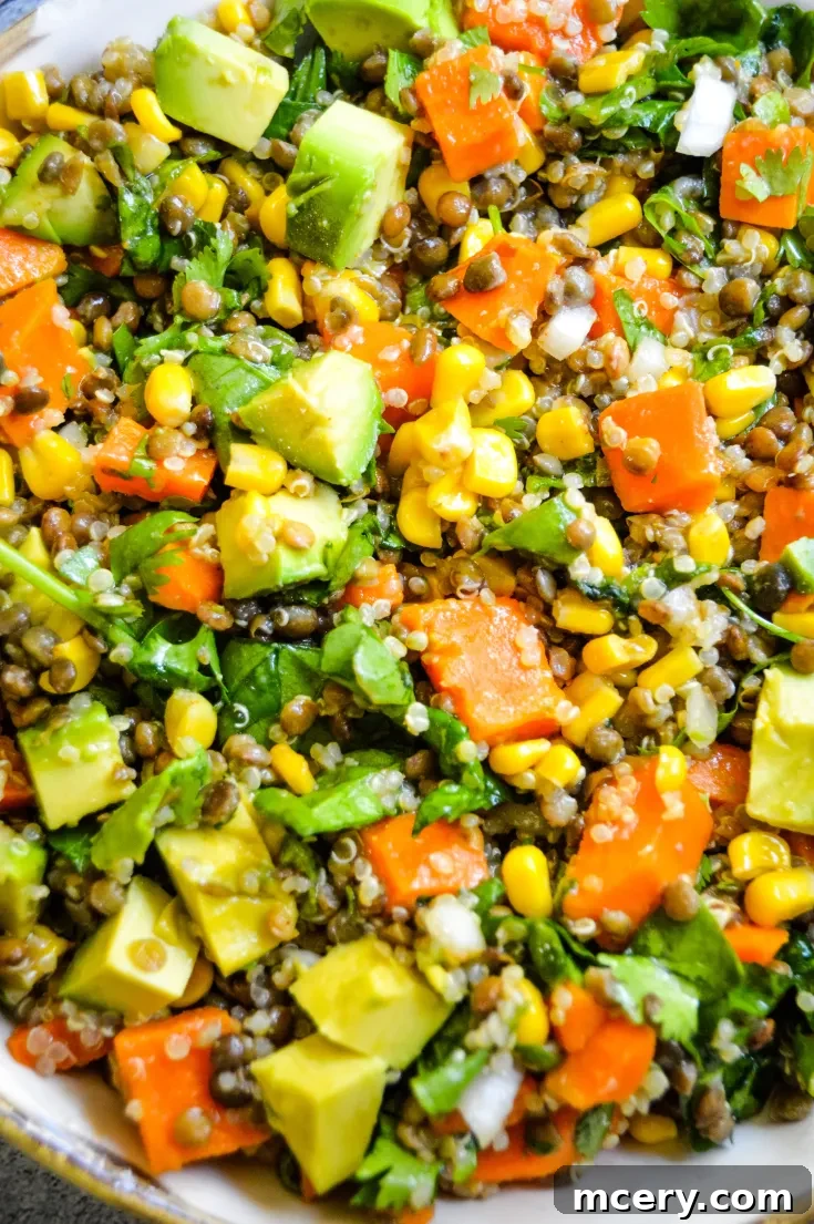 Small decorative image of Sweet Potato & Lentil Salad