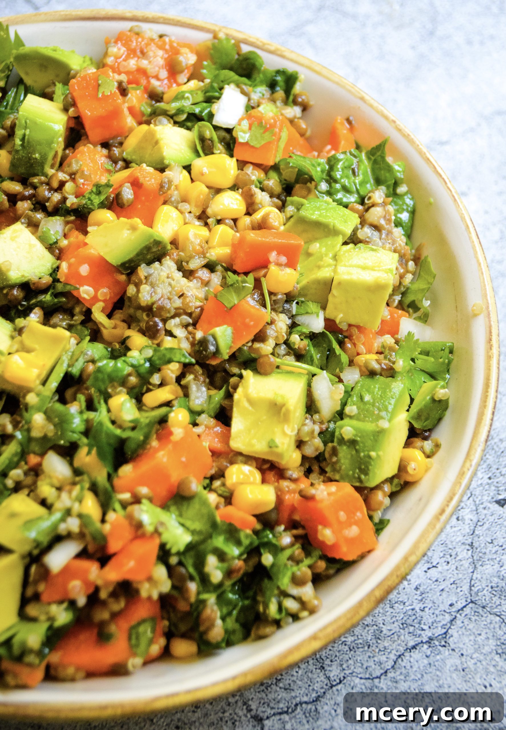 Wholesome Sweet Potato and Lentil Salad 4 img 6050 6 scaled