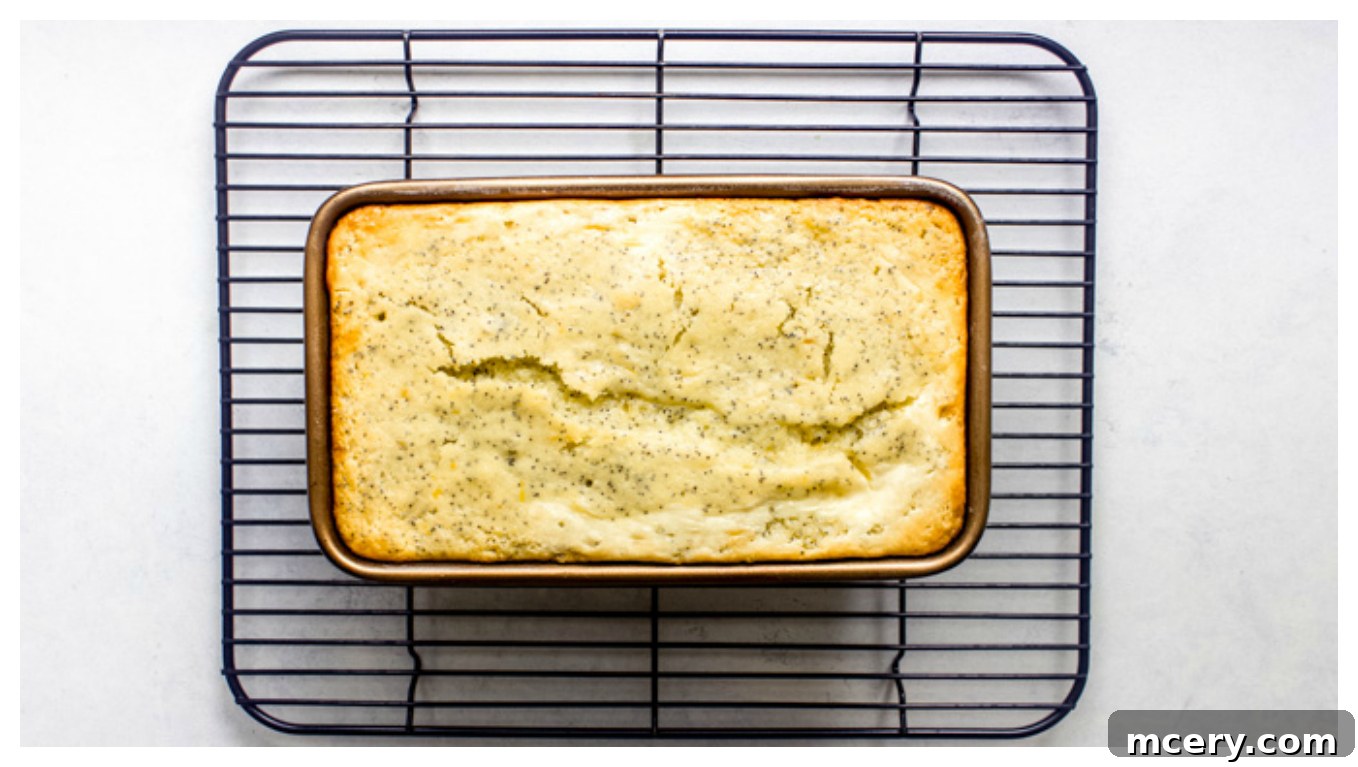 baked lemon cake on a cooling rack