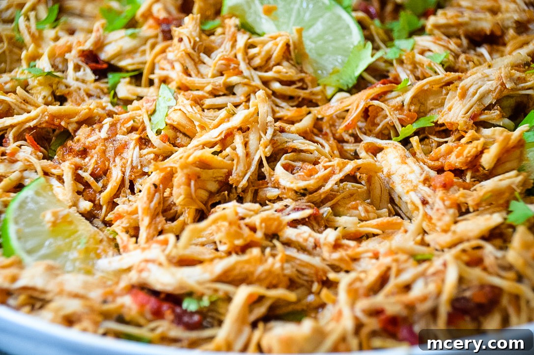 Speedy Instant Pot Mexican Pulled Chicken 3 A close-up shot of shredded Mexican chicken, richly coated in sauce, ready to be used in various dishes like tacos or burritos. The chicken is moist and tender, showcasing the delicious blend of spices and flavors.