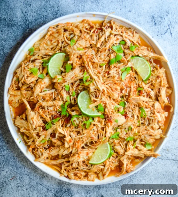 Speedy Instant Pot Mexican Pulled Chicken 5 A round white plate filled with Instant Pot Shredded Mexican Chicken topped with green cilantro and slices of lime. The dish appears to be flavored with a reddish sauce, giving it a savory and appetizing look. The plate is set against a gray textured background.