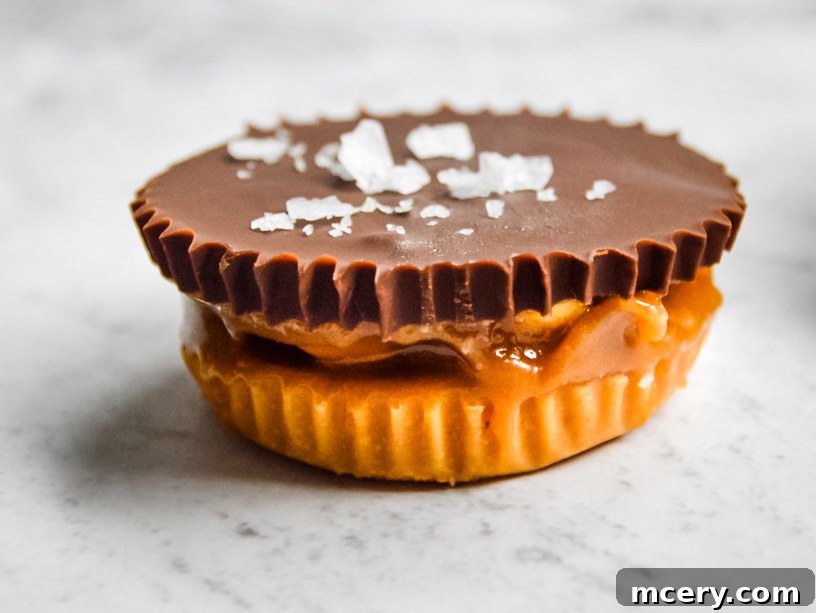 Irresistible Vegan Peanut Butter Caramel Cups 4 Ingredients for Vegan Peanut Butter Caramel Cups laid out on a table, including peanut butter, chocolate, nuts, and coconut products.