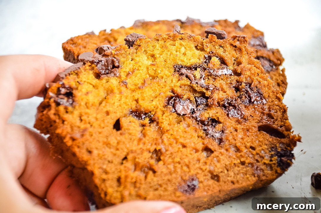 Warm, freshly baked Pumpkin Chocolate Chip Bread with chocolate chips visible throughout, ready to be enjoyed as a fall treat.