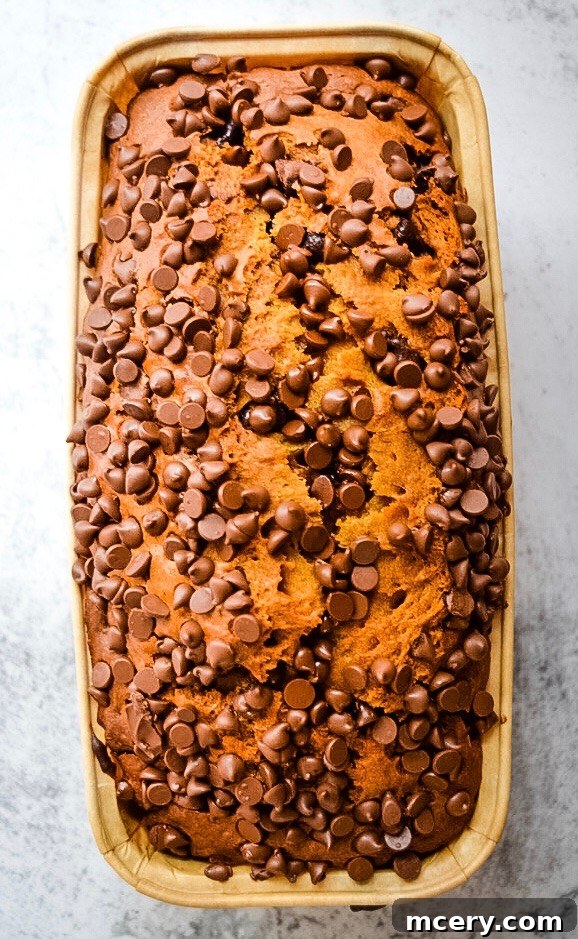 A top-down view of a cooling loaf of freshly baked Pumpkin Chocolate Chip Bread, showcasing its golden-brown crust and plentiful chocolate chips.