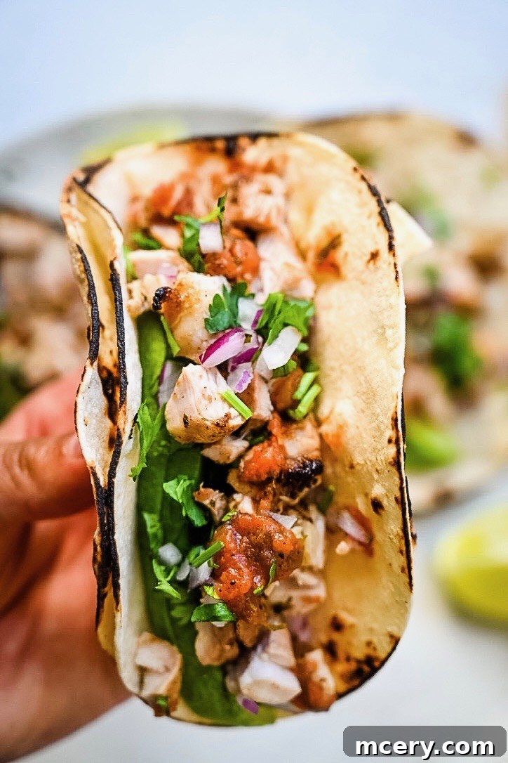 Three grilled chicken street tacos neatly arranged on a white plate with lime wedges.