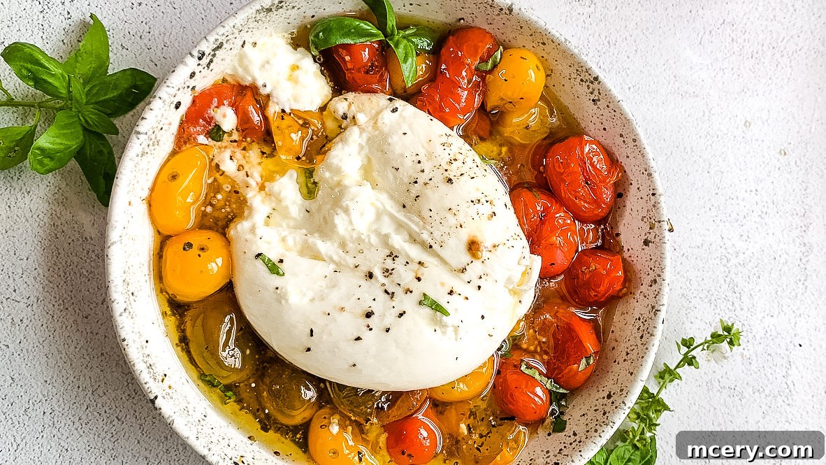A close-up of the delectable Oven Roasted Tomatoes & Burrata with Hot Honey, showcasing the vibrant colors and rich textures of the dish.