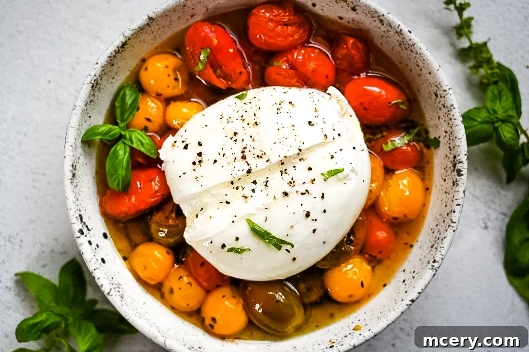 Close-up of the creamy burrata cheese being placed atop the roasted tomatoes.