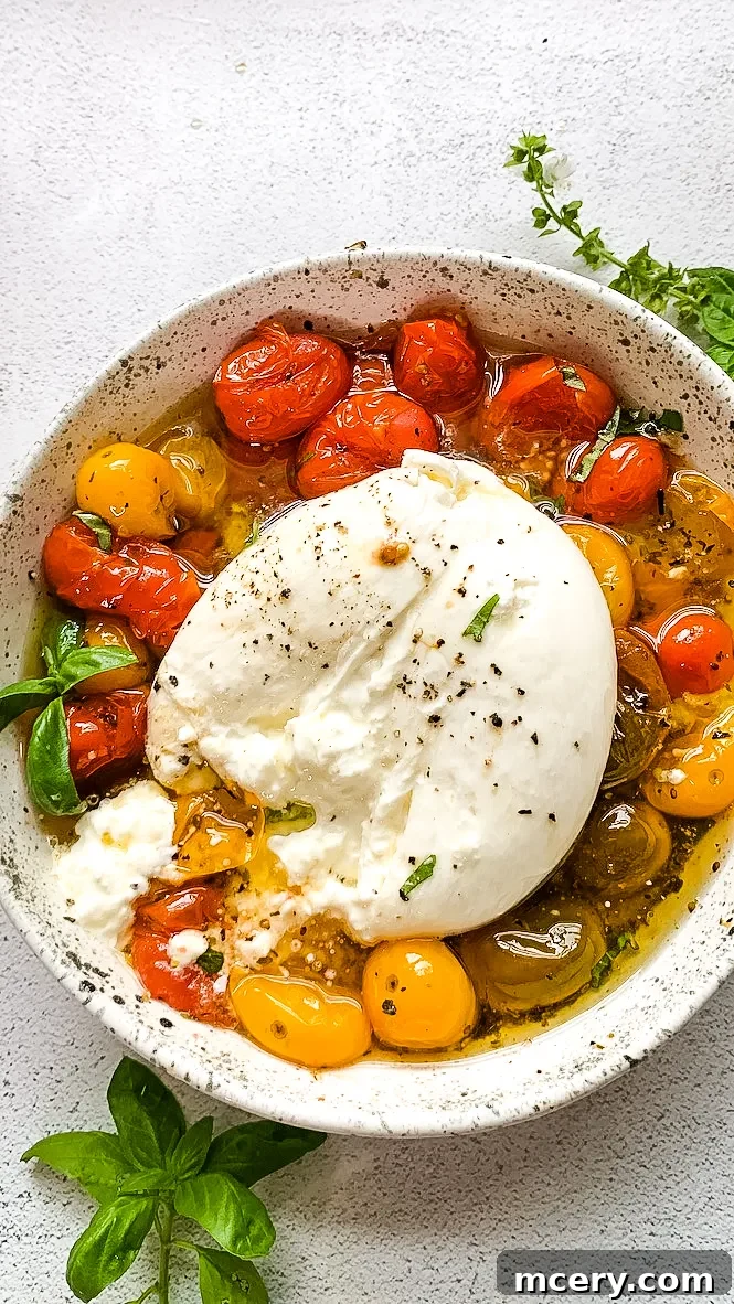 A side view of the luscious oven-roasted tomatoes and burrata with hot honey, ready to be served.