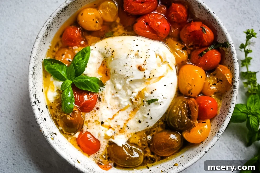 A full view of the stunning Oven Roasted Tomatoes & Burrata with Hot Honey dish, garnished with fresh basil.