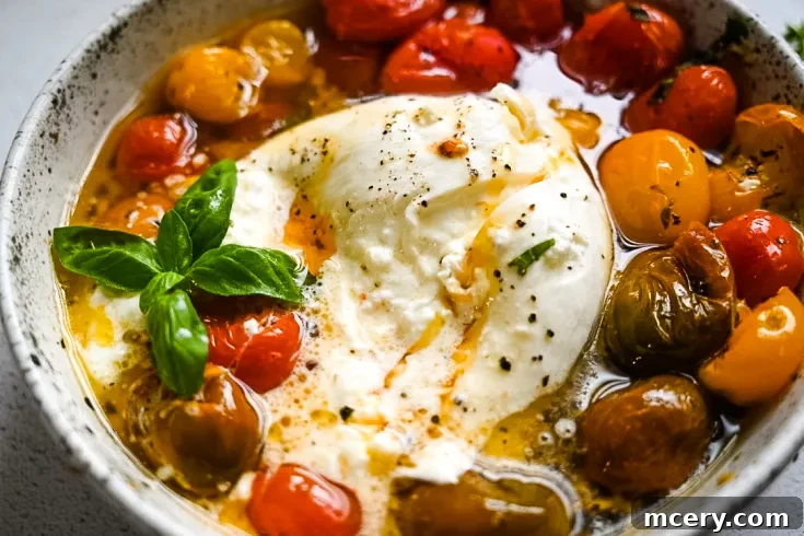 A white bowl filled with oven-roasted cherry tomatoes in various colors, olive oil, and seasonings, topped with a ball of burrata cheese and a sprig of fresh basil and hot honey.