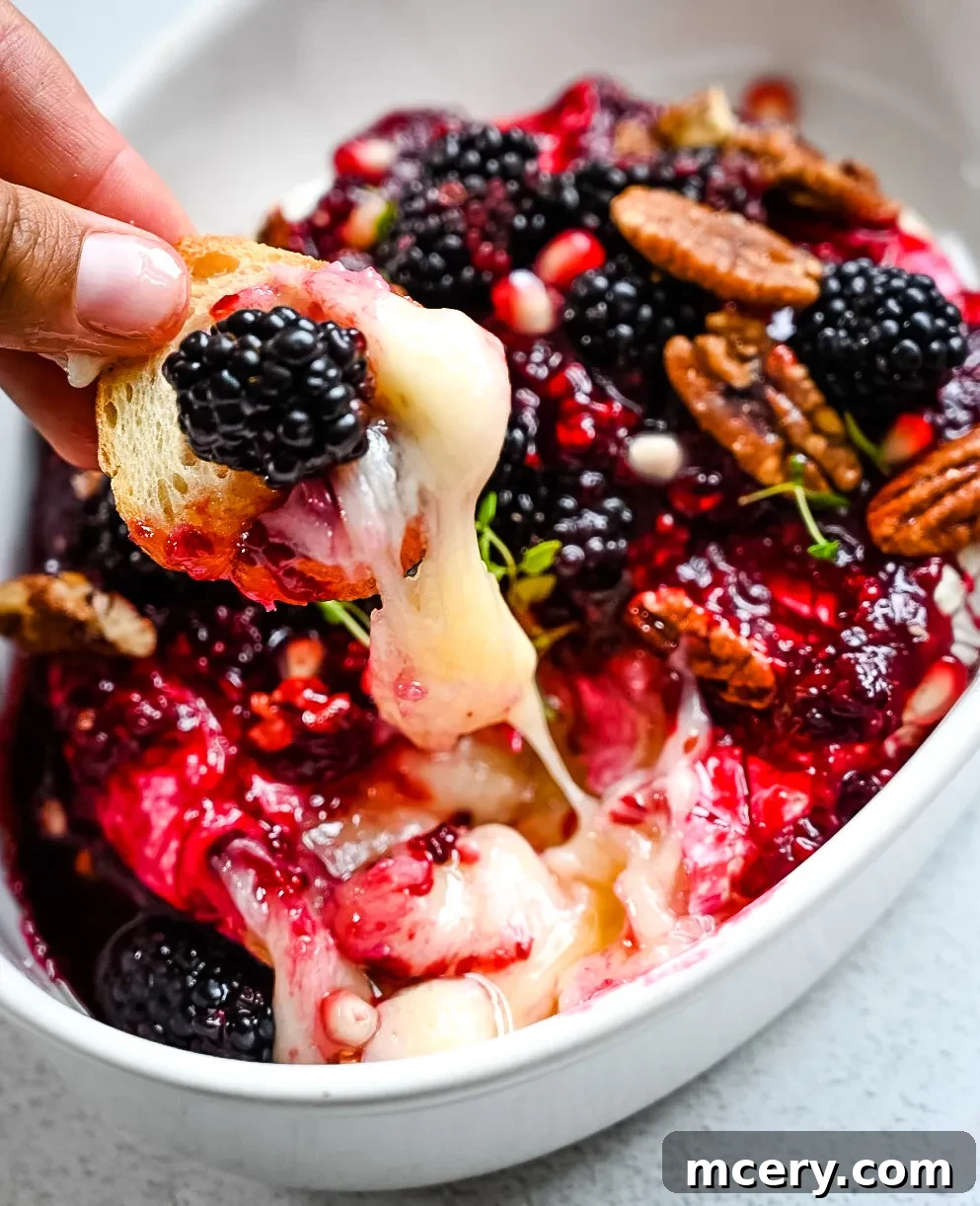 A close-up of a cracker loaded with creamy baked brie, blackberry compote, and pecans, showcasing the rich texture and vibrant colors.
