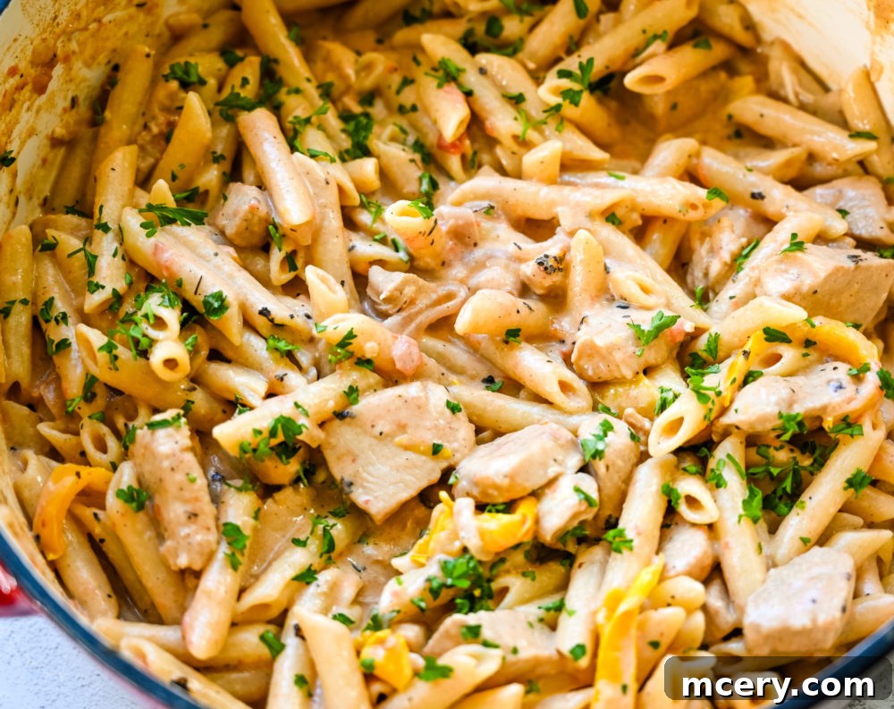 Bold One-Pot Cajun Chicken Pasta 2 One-Pot Cajun Chicken Pasta: A creamy pasta dish with chicken and vegetables.