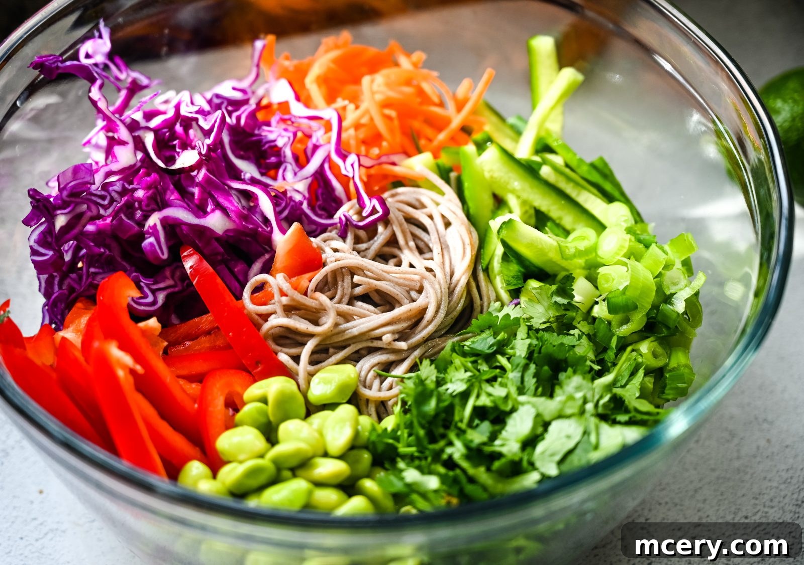 Zesty Peanut Soba Noodle Salad 3 Close-up of Soba Noodle Salad with Peanut Sauce, highlighting the texture of the noodles and the rich coating of the sauce on the vegetables.