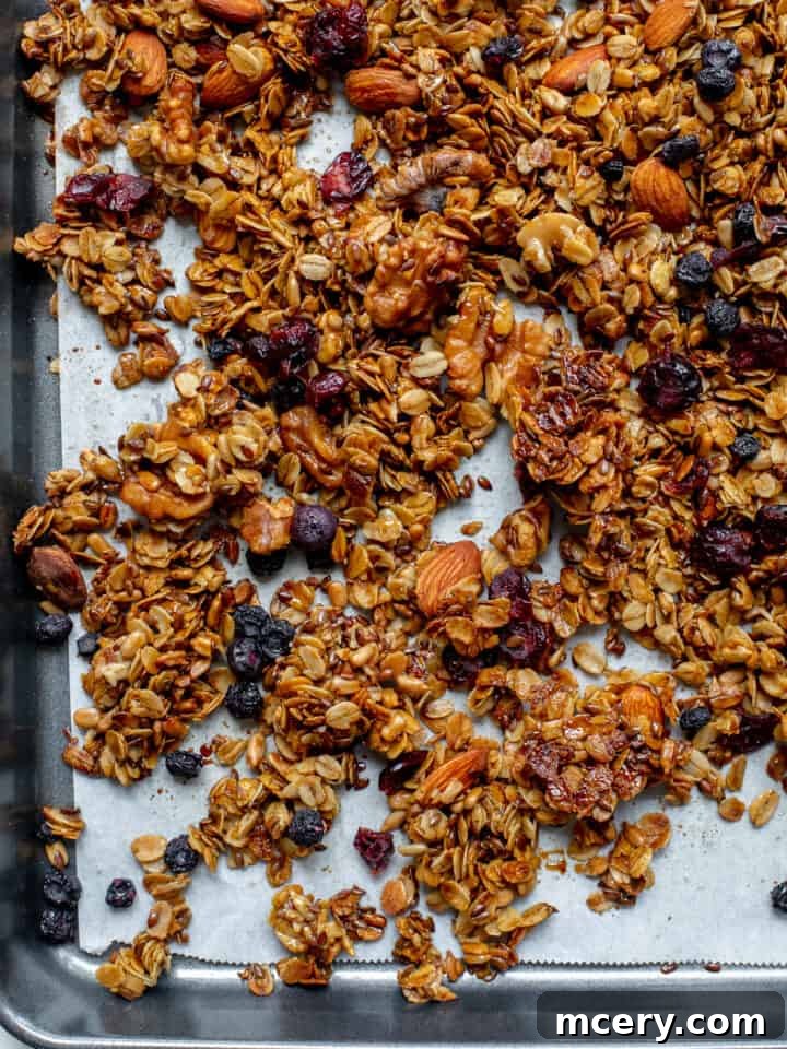 Addictive Crunchy Granola 6 granola with berries