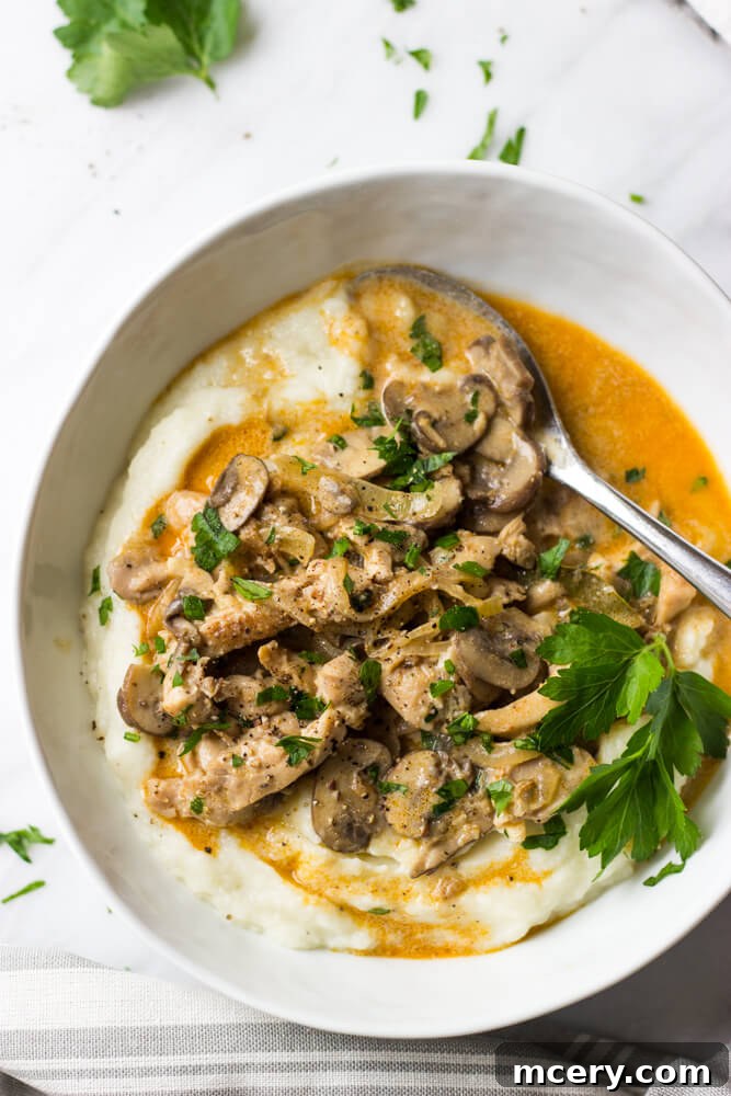 Individual serving of chicken thigh stroganoff over egg noodles.