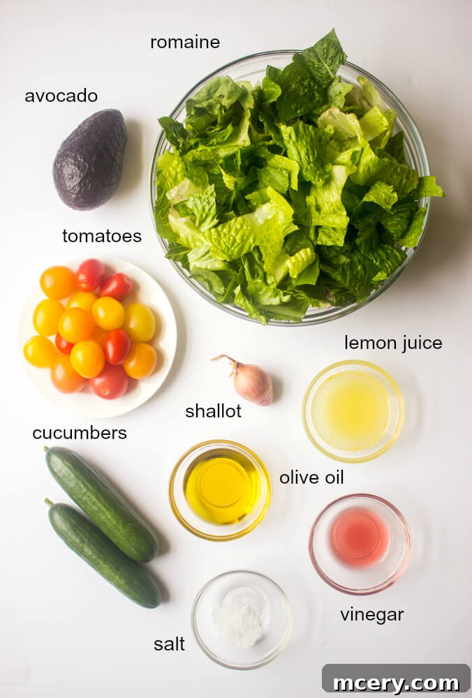 Signature House Salad 4 house salad ingredients