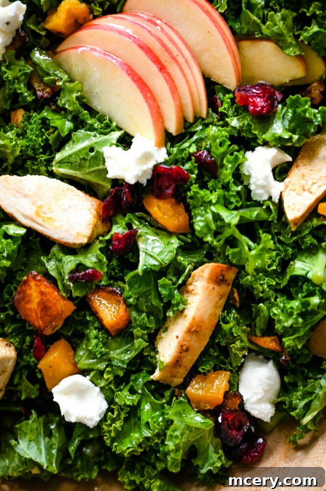 Autumn Abundance Salad 2 Vibrant Fall Harvest Salad with roasted butternut squash, kale, cranberries, and chicken