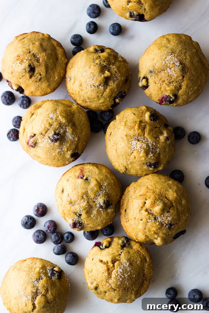 Wholesome Banana Blueberry Muffins 3 banana blueberry muffins with no sugar
