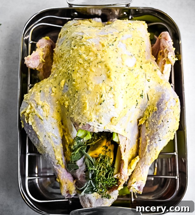 Skip the Brine! Your Easiest, Juiciest Thanksgiving Turkey Ever 11 A raw turkey in a roasting pan is seasoned with a herb butter rub and stuffed with fresh herbs and slices of citrus, preparing for roasting. The turkey is set on a rack above the pan, ready to be cooked.