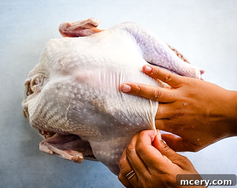 Skip the Brine! Your Easiest, Juiciest Thanksgiving Turkey Ever 9 Two hands are loosening the skin of a raw turkey, preparing it for seasoning or stuffing. The turkey is placed on a light surface, and one hand is gently lifting the skin while the other is holding the chicken steady.