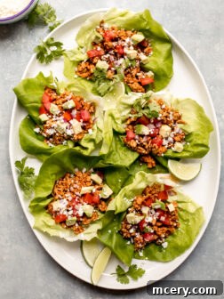 Delicious turkey lettuce wraps with the best seasoning!
