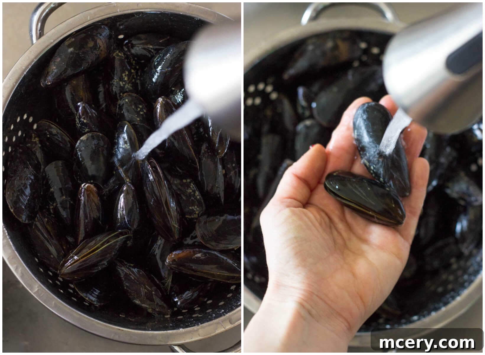 Zesty Garlic-Parsley Steamed Mussels 6 Cleaned and scrubbed mussels in a colander