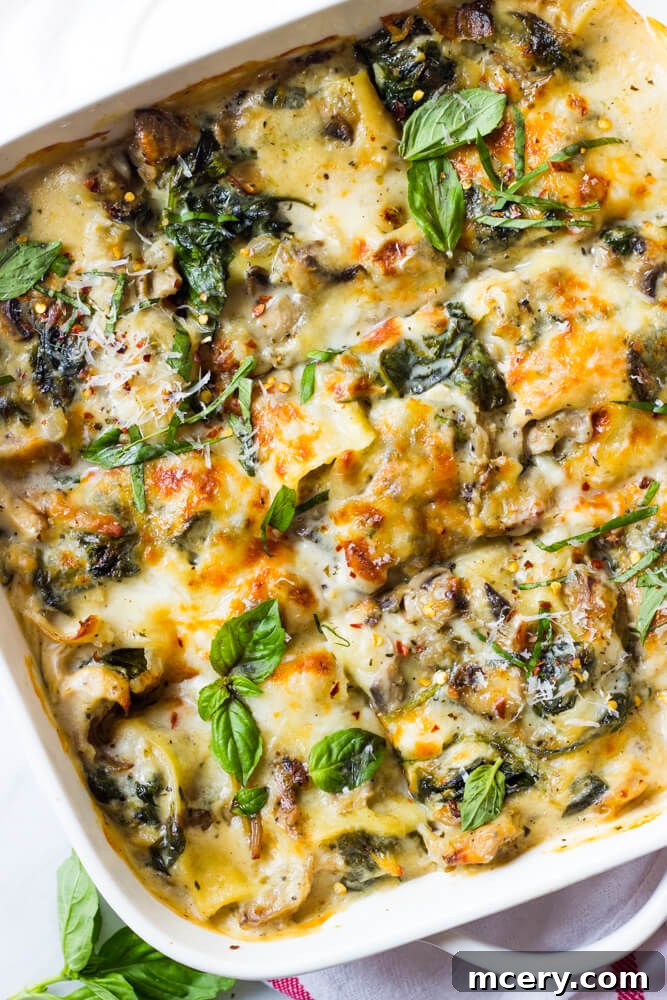Creamy Chicken Lasagna with Spinach and Mushrooms 2 Golden-brown Chicken Spinach Lasagna, freshly baked and ready to serve.