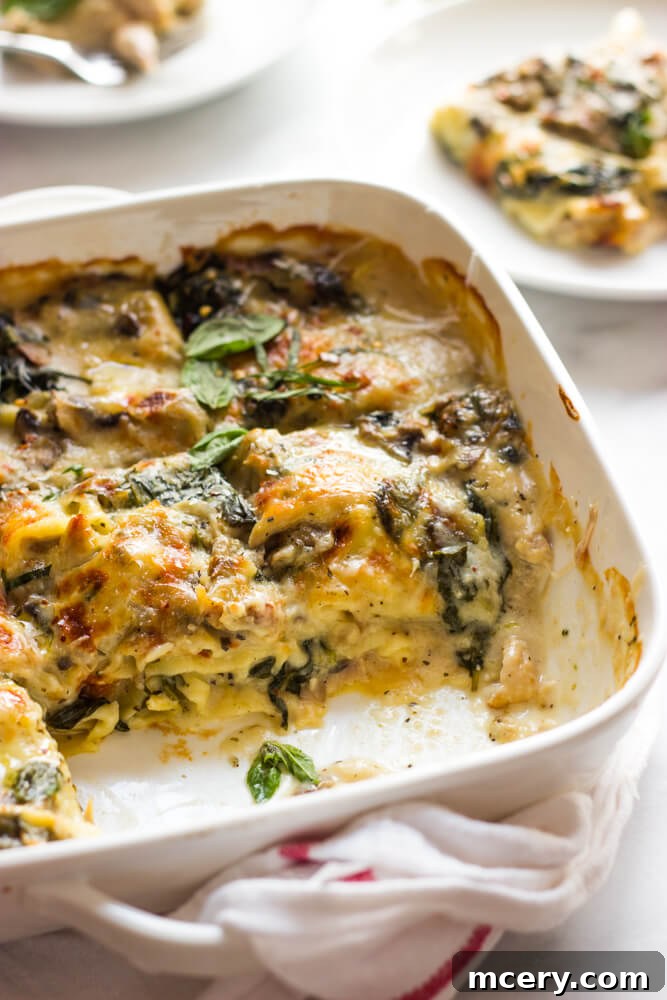 Creamy Chicken Lasagna with Spinach and Mushrooms 11 A slice of creamy Chicken Mushroom and Spinach Lasagna on a plate, showing the layers of chicken, spinach, and cheese.
