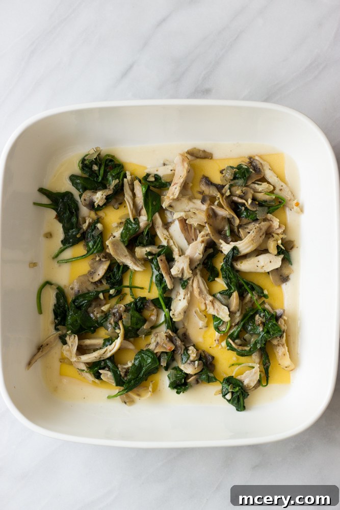 Creamy Chicken Lasagna with Spinach and Mushrooms 9 First layer of lasagna assembly, showing noodles, chicken mixture, and white sauce in a baking dish.