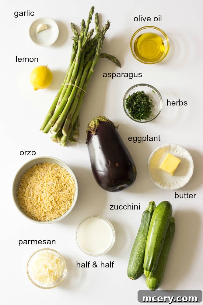 ingredients for creamy vegetable orzo recipe