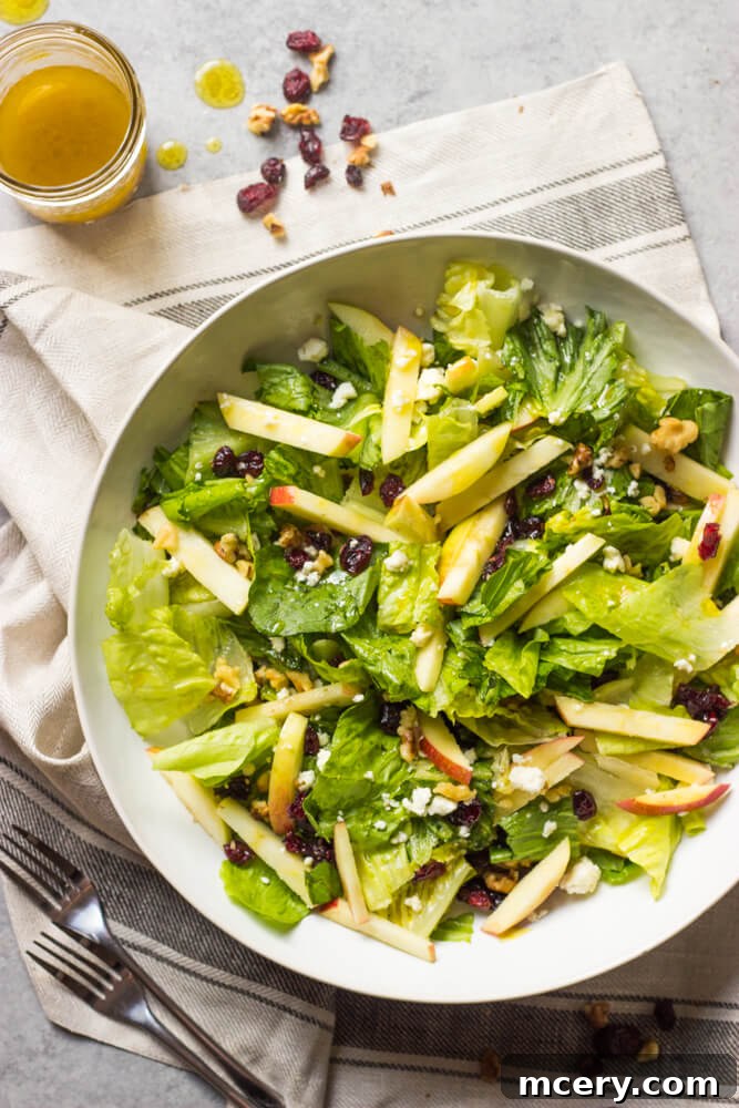 Harvest Cranberry Walnut Salad 2 Fresh romaine salad with crisp apples, toasted walnuts, tart cranberries, and creamy feta cheese, beautifully arranged in a white bowl.