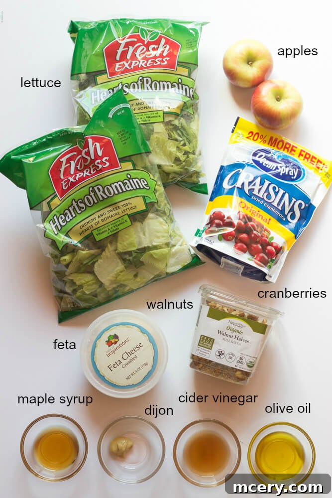 Harvest Cranberry Walnut Salad 3 A selection of fresh ingredients including romaine lettuce, Honeycrisp apple, walnuts, dried cranberries, and feta cheese, ready for an apple cranberry walnut salad.