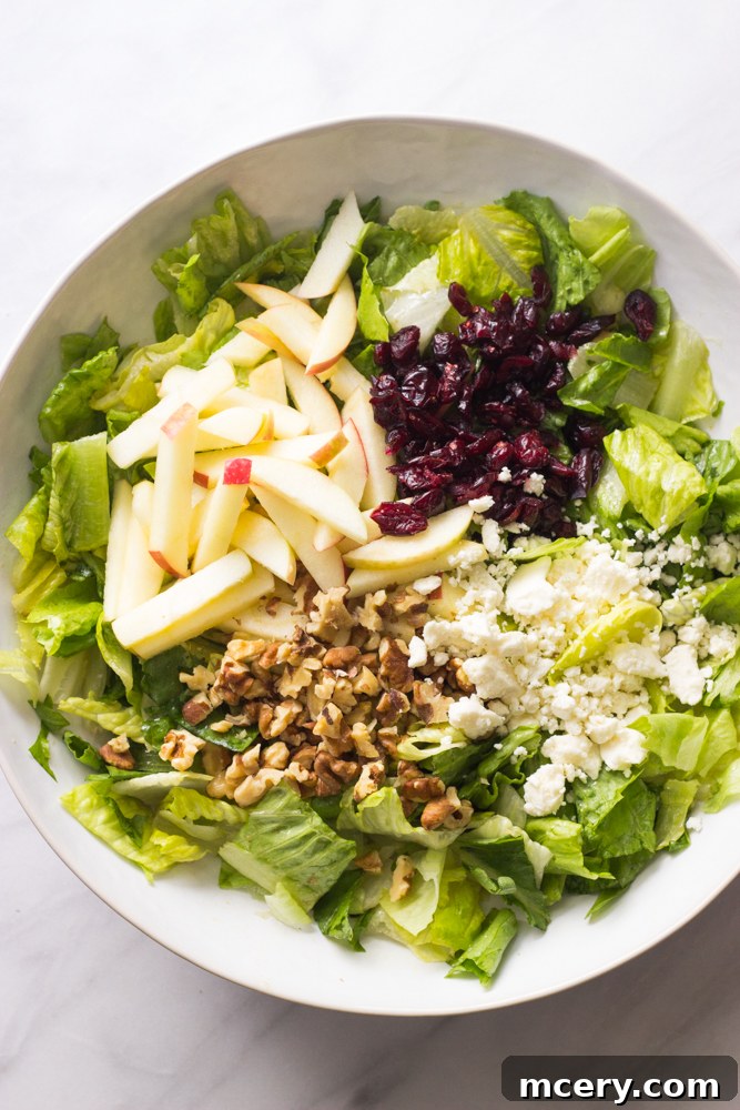 Harvest Cranberry Walnut Salad 6 Romaine lettuce in a bowl, generously topped with sliced apples, crumbled feta, dried cranberries, and toasted walnuts, ready for tossing.