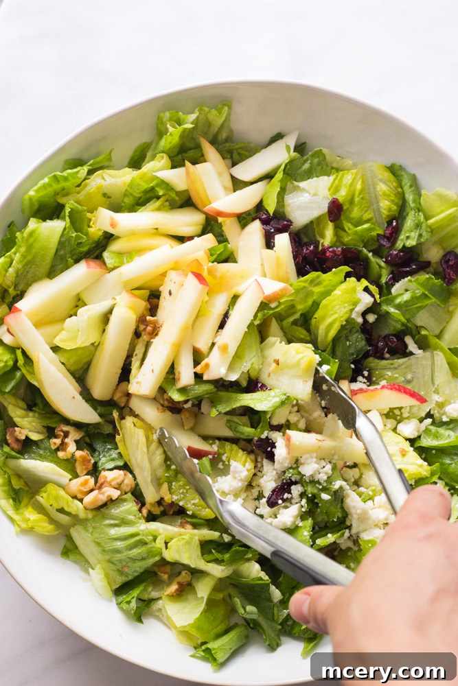 Harvest Cranberry Walnut Salad 7 Apple walnut cranberry salad being gently tossed with a pair of tongs in a large white bowl, ensuring all ingredients are evenly coated with dressing.