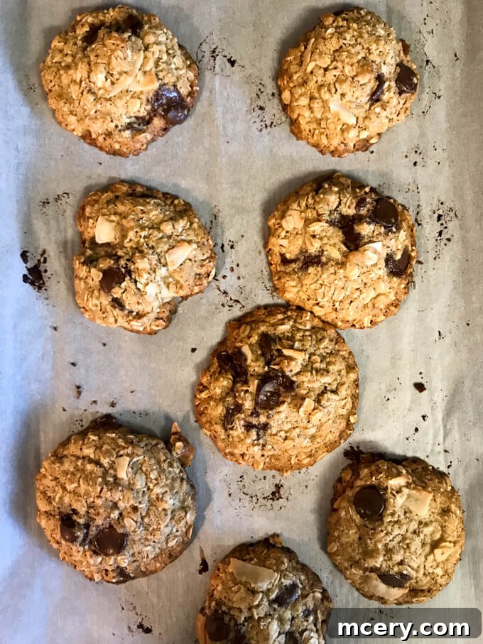 Postpartum Fuel What I Ate Plus Lactation Cookie Recipe 17 What I Ate Wednesday - Postpartum food diary documenting what I eat in a day. Simple, quick, and healthy! @littlebroken