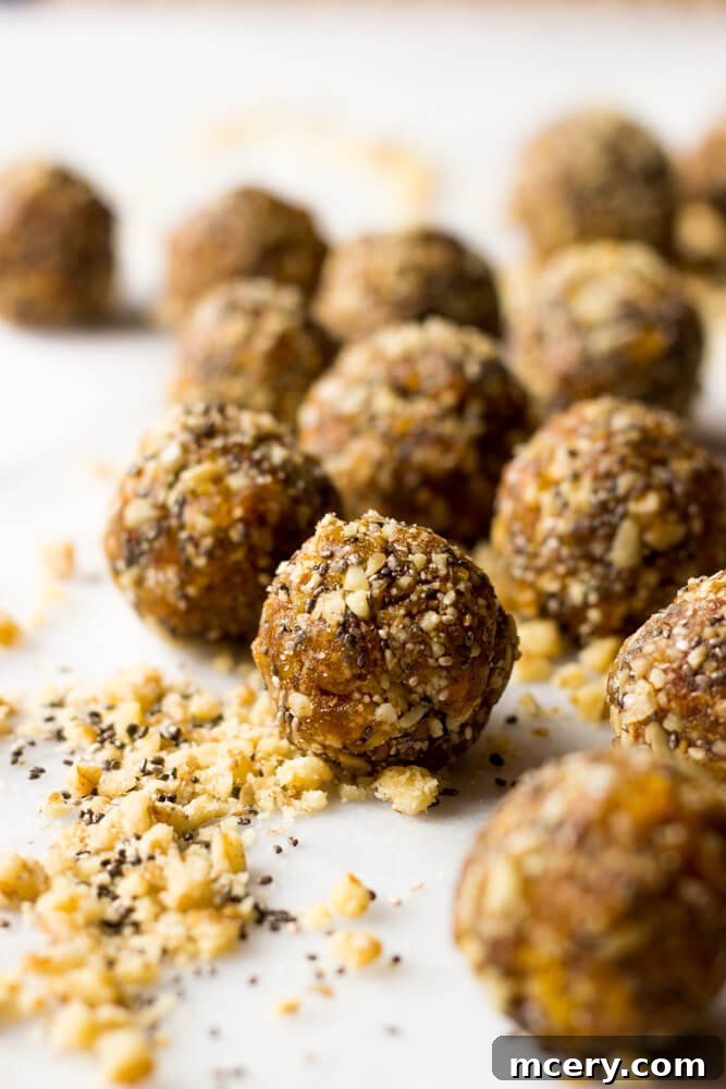 Wholesome Date Energy Bites 6 date power balls