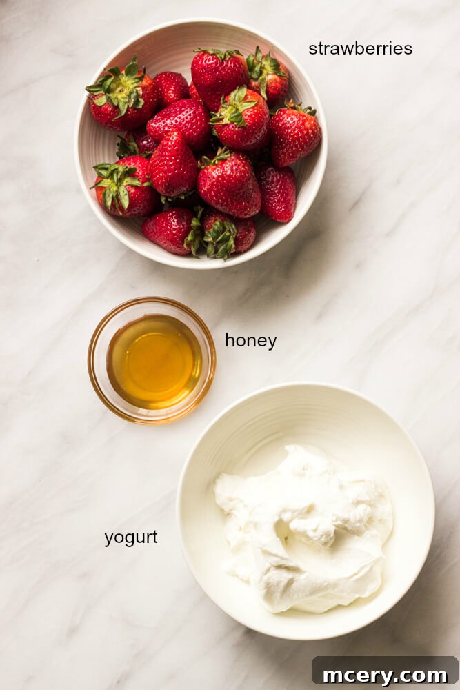 Strawberry Yogurt Sunshine Pops 4 Three ingredients for yogurt popsicles: strawberries, Greek yogurt, and honey